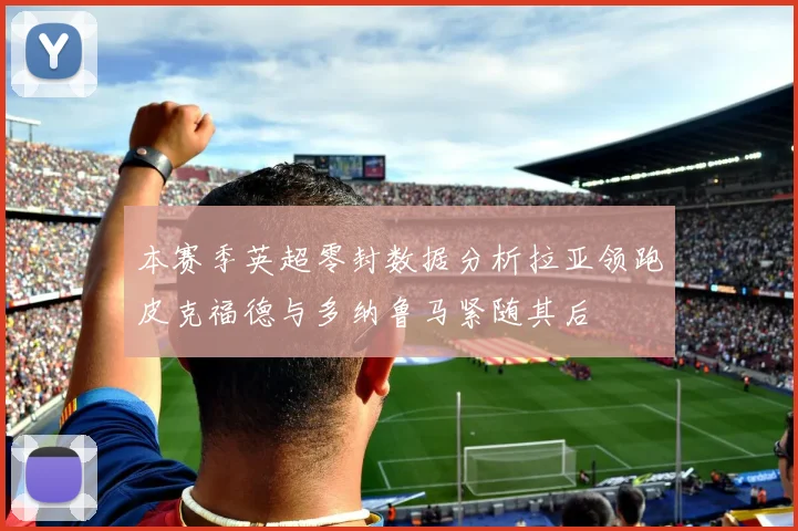 本赛季英超零封数据分析拉亚领跑皮克福德与多纳鲁马紧随其后