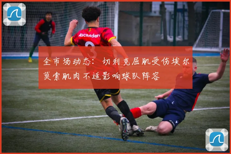 全市场动态：切利克屈肌受伤埃尔莫索肌肉不适影响球队阵容