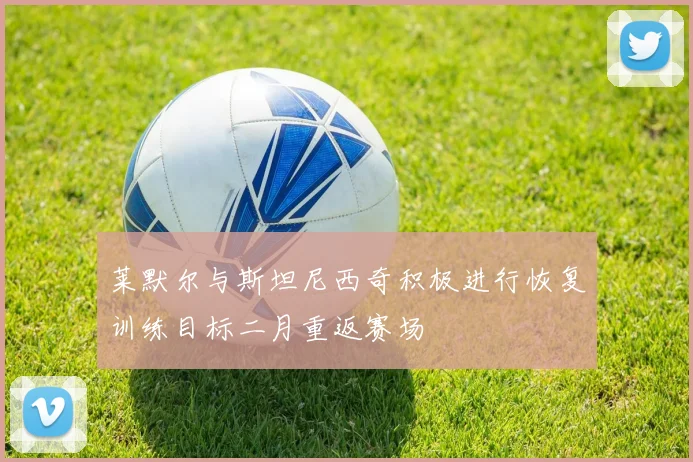 莱默尔与斯坦尼西奇积极进行恢复训练目标二月重返赛场